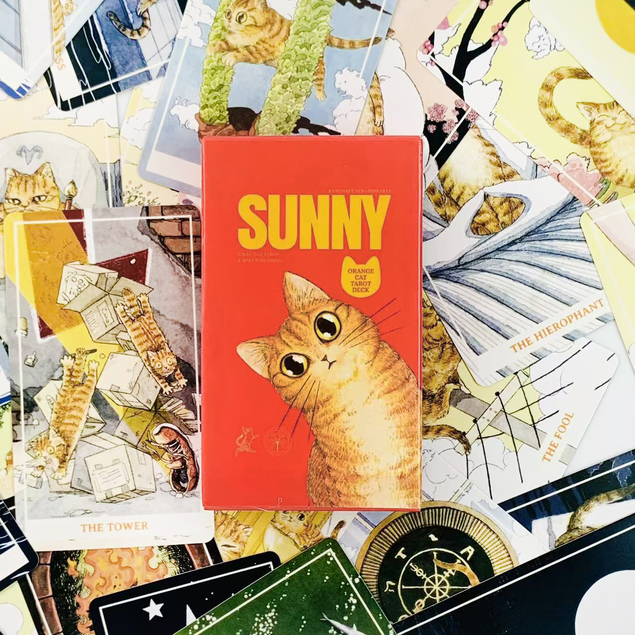 Sunny Orange Cat Tarot Deck A  - Party Games Sunny reseña y precio